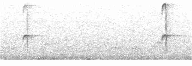 Исполинский колибри - ML298852601