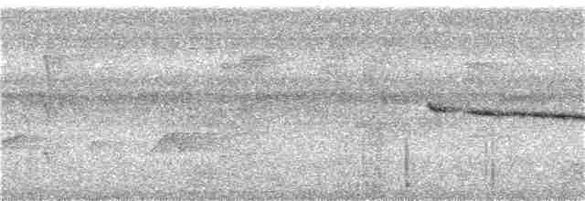 Gray-throated Babbler - ML298970661