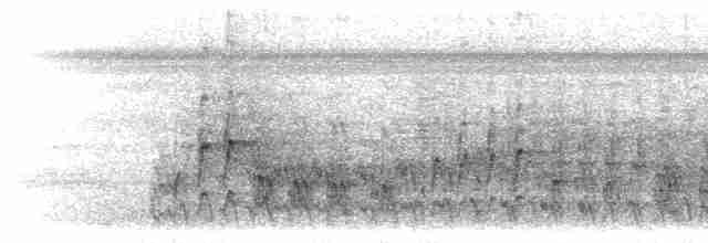 Лінивка-чорнопер жовтодзьоба - ML298989