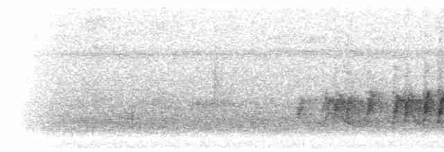 Kara Suratlı Çalı Serçesi - ML299020