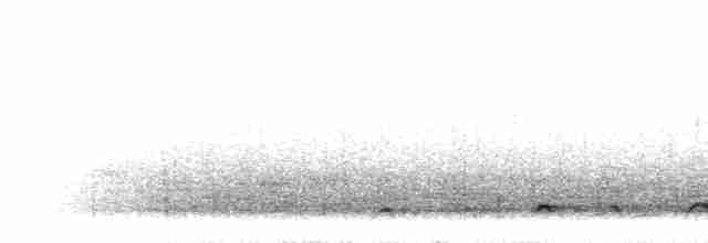Lyre-tailed Nightjar - ML299038