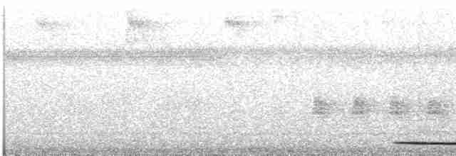 Tinamou noctivague - ML299045551