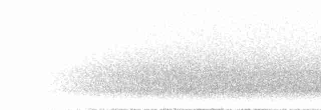 Tinamou de Darwin - ML299110