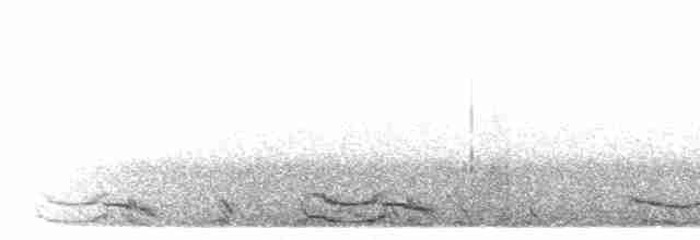 Puna Tinamou - ML299133