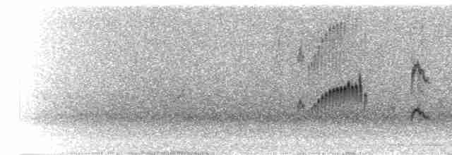 Торілон жовтодзьобий - ML299139