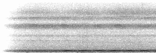 White-mantled Barbet - ML299185