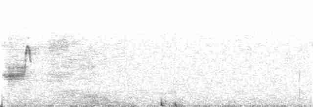 Iberian Gray Shrike - ML299197041