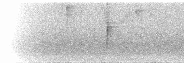Gray-hooded Bush Tanager - ML299240