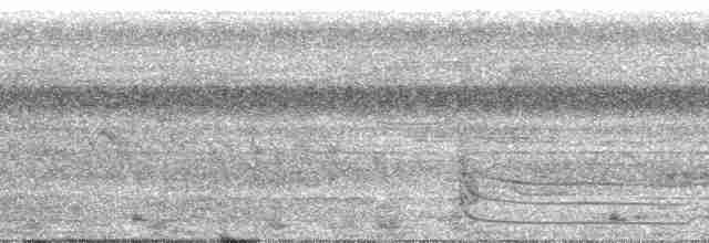 Bluish-gray Saltator - ML29928