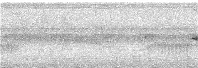 Gray-throated Babbler - ML299338241