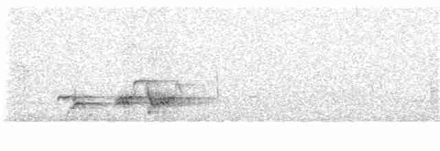 Patagonya Ardıcı (magellanicus/pembertoni) - ML299477891