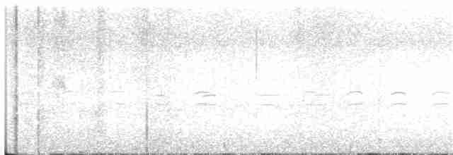 křivka bělokřídlá - ML299492811