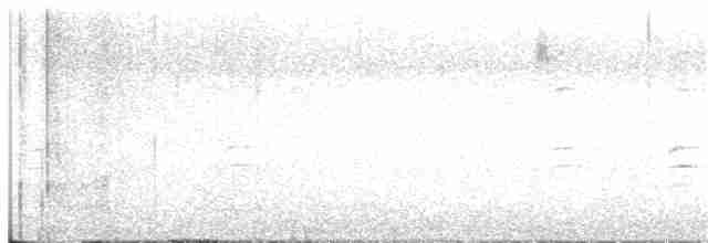 křivka bělokřídlá - ML299493011