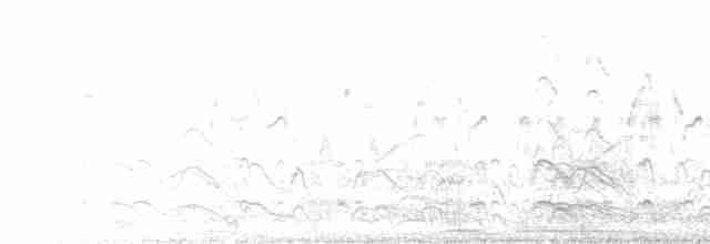 Clamorous Reed Warbler - ML299521001