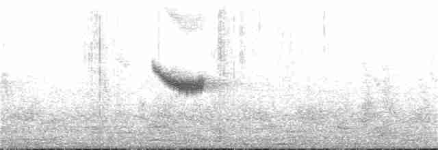 Вилохвістка плямиста - ML29959451