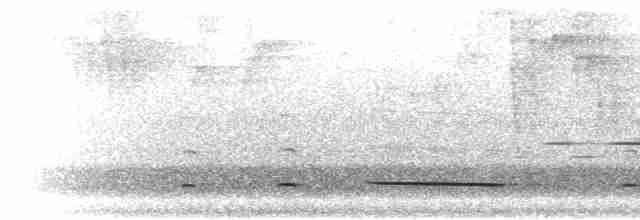Clorofonia Cejidorada - ML299723