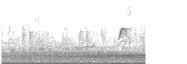 Тиранчик-короткодзьоб південний - ML299740921