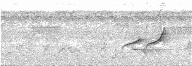 Gray Tit-Flycatcher - ML299754131