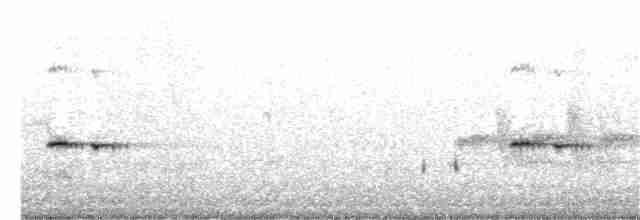 Fleckenpanthervogel - ML299811511