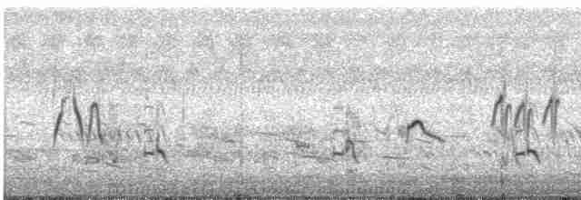 australlerke (javanica gr.) - ML299860891