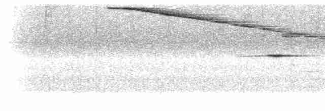 Вулкановый колибри - ML299865