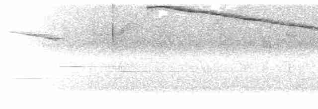 Вулкановый колибри - ML299866