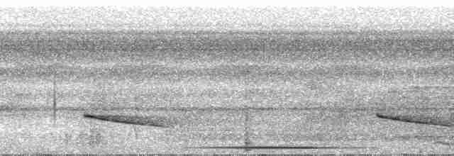 Slaty-capped Shrike-Vireo (Slaty-capped) - ML29989