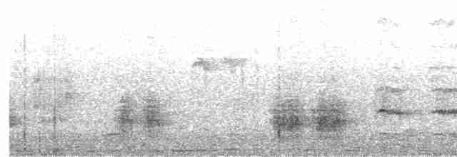 Great Reed Warbler - ML299917261