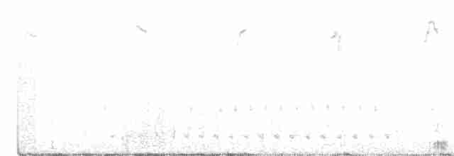 White-winged Fairywren - ML300060191