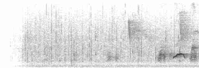 Різжак рудошиїй (підвид rufinucha) - ML300064