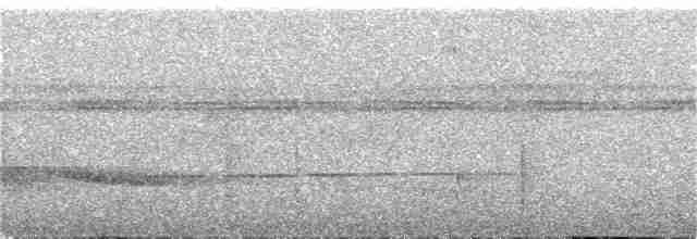 Short-tailed Antthrush - ML300104361