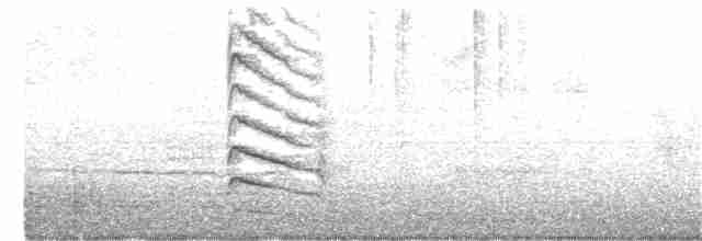 Дятел-смоктун жовточеревий - ML300118151