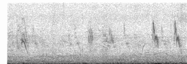 Singing Bushlark (Australasian) - ML300153721
