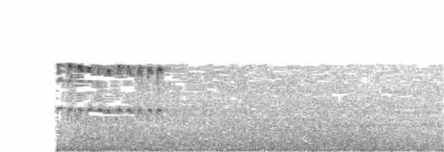 Tangara de Rieffer - ML300165051
