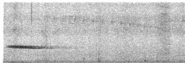 Каштановый скрытохвост - ML300183851