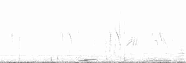 Gray Crowned-Crane - ML300228141