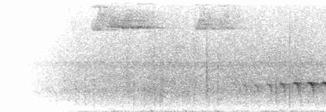 Gelbbrust-Ameisenfänger - ML300246