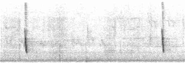 Дрізд-короткодзьоб плямистоволий [група guttatus] - ML300250031