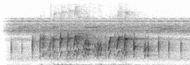 Лінивка-чорнопер жовтодзьоба - ML300273