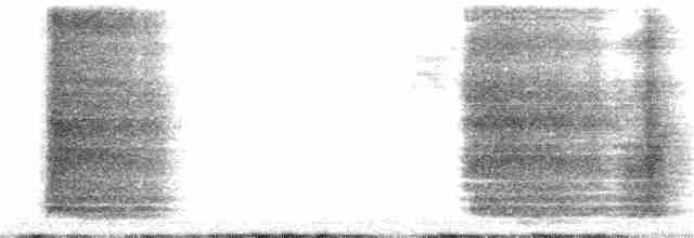 Ойсея плямиста - ML300286071