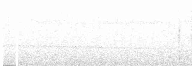 Nordamazonien-Ameisenschnäpper - ML300288721