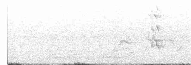 Папужець-червонокрил австралійський - ML300297041