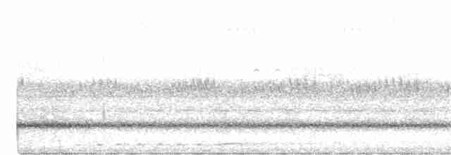 Pheasant Coucal (Pheasant) - ML300298211