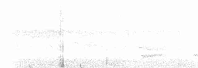 Small-billed Tinamou - ML300305521