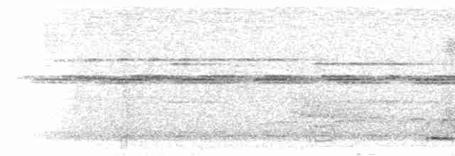 Лінивка рудоголова - ML300320