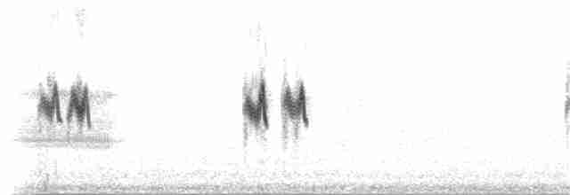 Tree Swallow - ML30034251