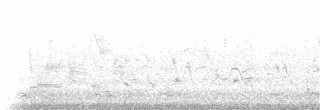 rødvingetrupial (phoeniceus gr.) - ML30034261
