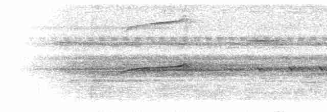 Streifenfaulvogel - ML300386