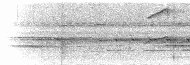 Streifenfaulvogel - ML300387