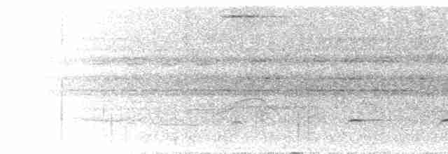 Streifenfaulvogel - ML300388